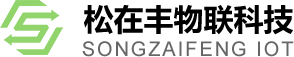 上海松在丰物联科技有限公司